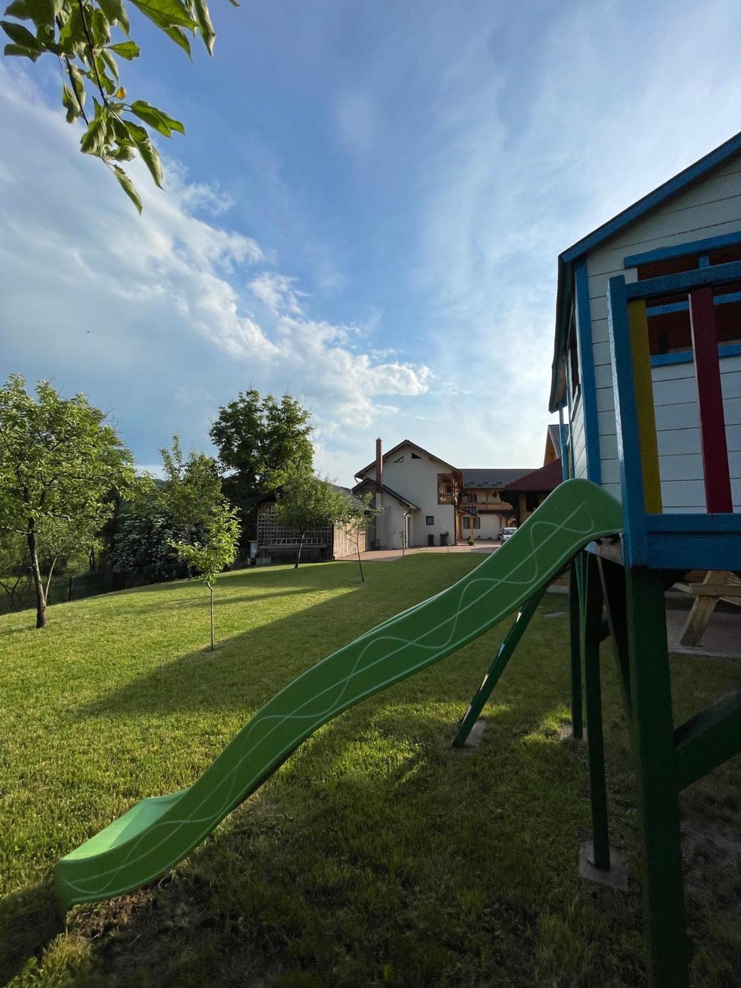 Pensiunea Valea Muntelui Birsana Экстерьер фото